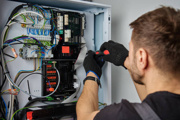 Licensed Electrical Panel Upgrade service in Loch Lomond, VA - No Joke electrician